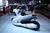 Honda 3R-C